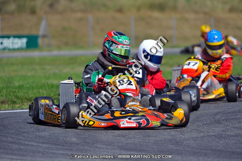 DSC_ (1405).jpg